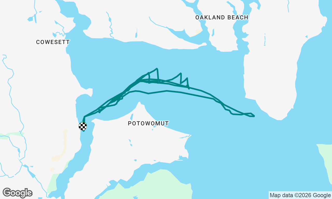The “Interesting” “Cruise”…