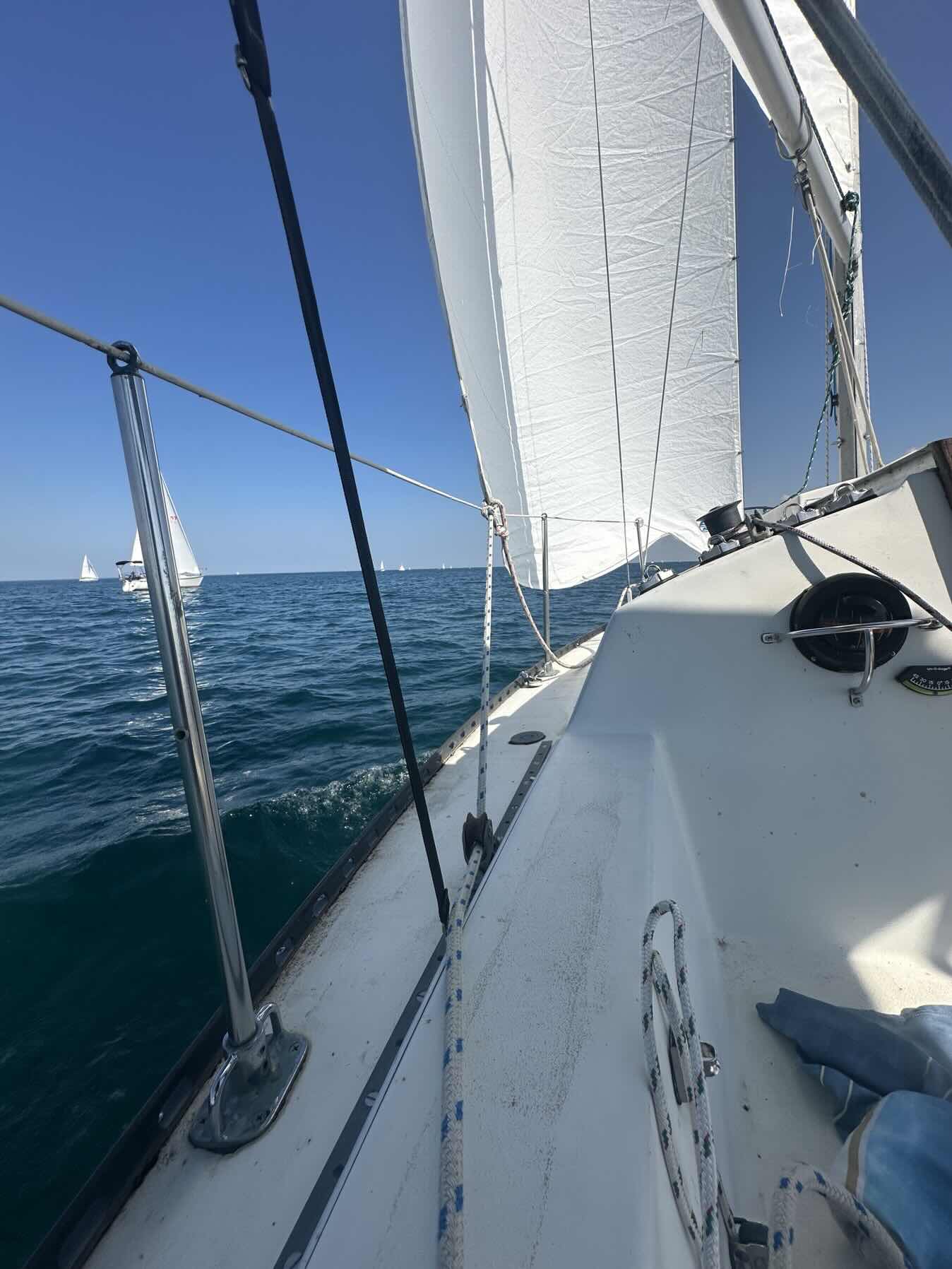 Out for a swim and sail shocking _1CC43FC1-39AC-493E-8FD4-6CD0F896CC6F
