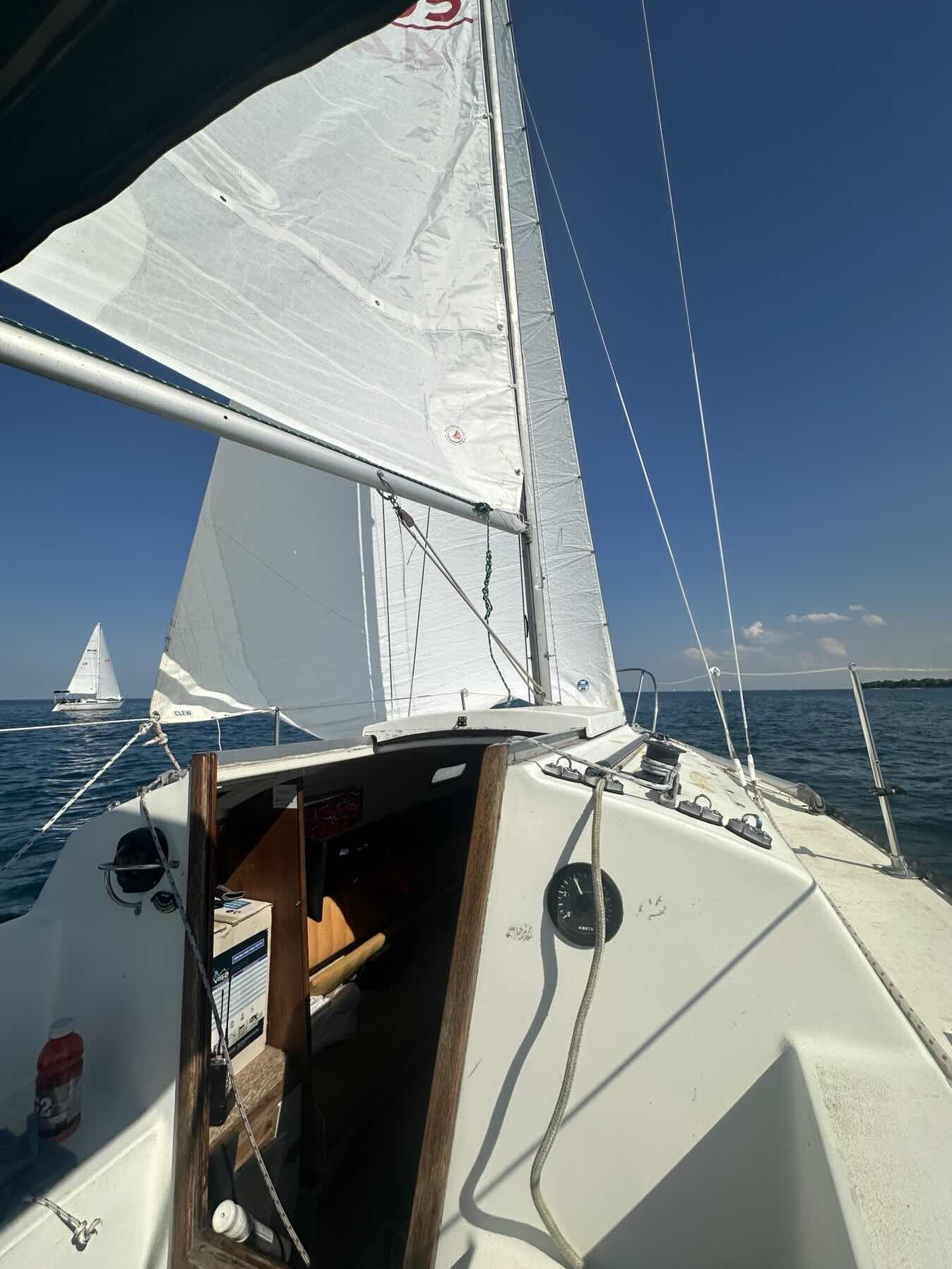 Out for a swim and sail shocking _4962181A-2B7B-41DE-903C-0E306BD8B521