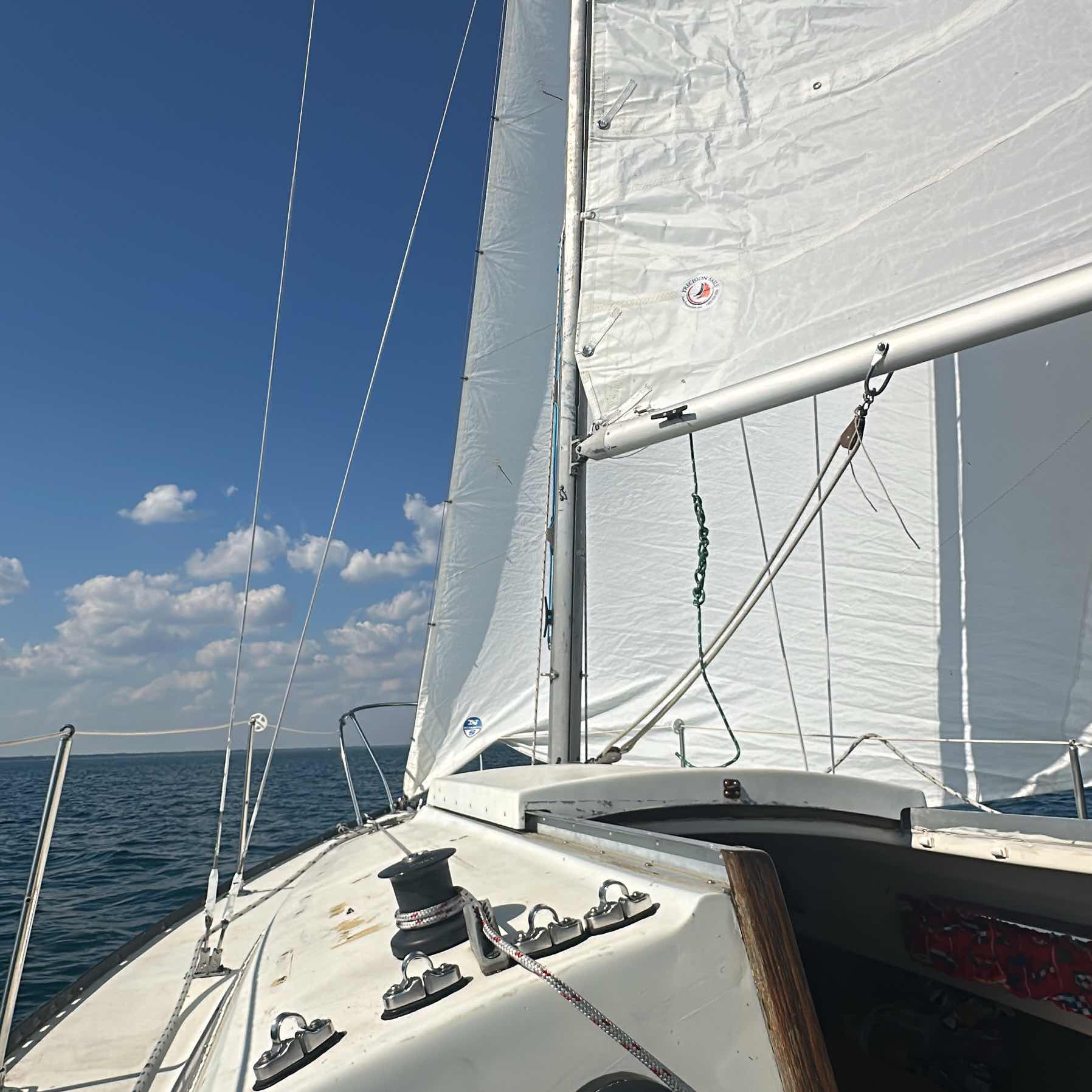 Out for a swim and sail shocking _9BDBE282-8456-47BB-9736-7B30DA7E6D64