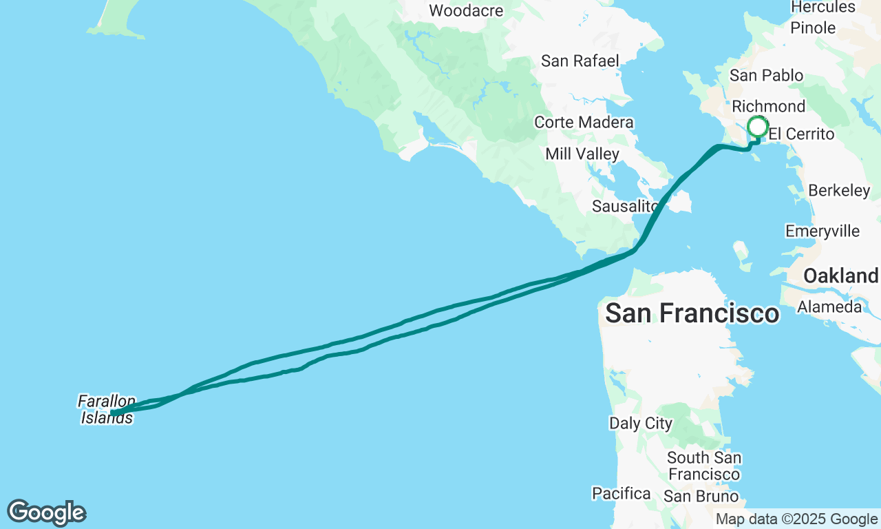 White Shark Cage Diving at the Farallons