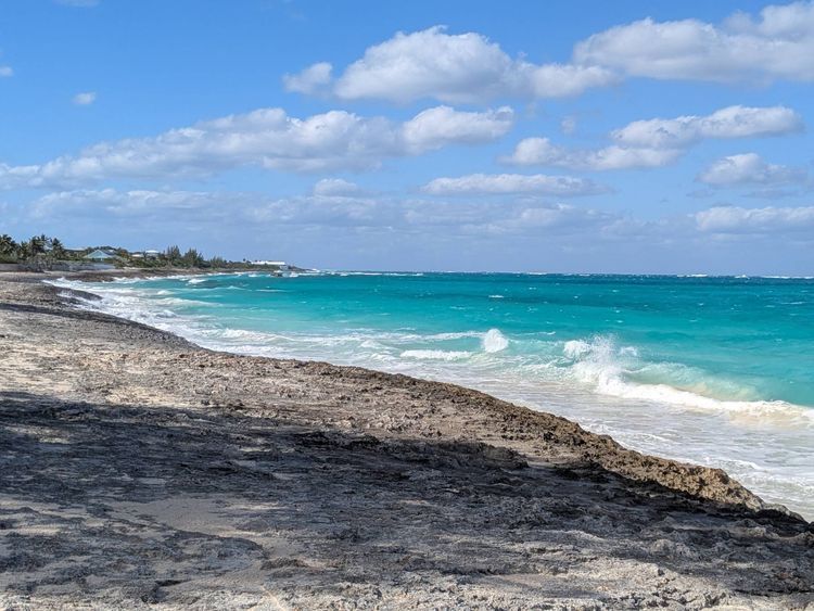 Voyage photo from Bahamas 2026 Feb 22