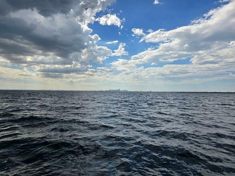 Voyage photo from Wednesday Wonders course 24
