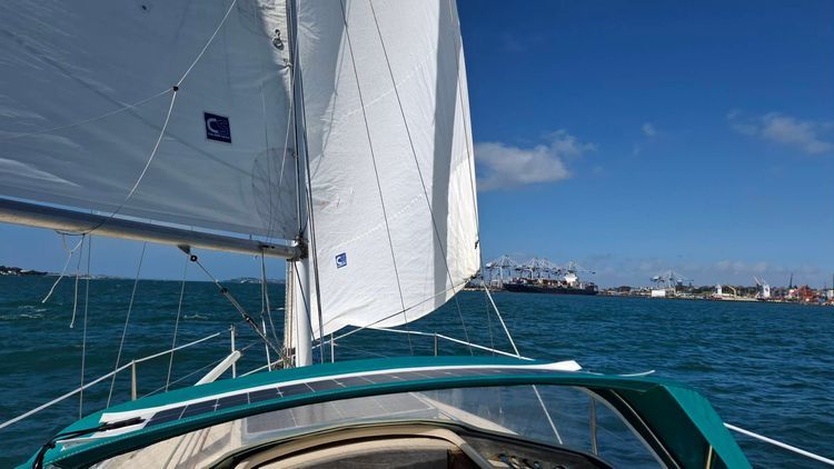 Voyage photo from Auckland Harbour
