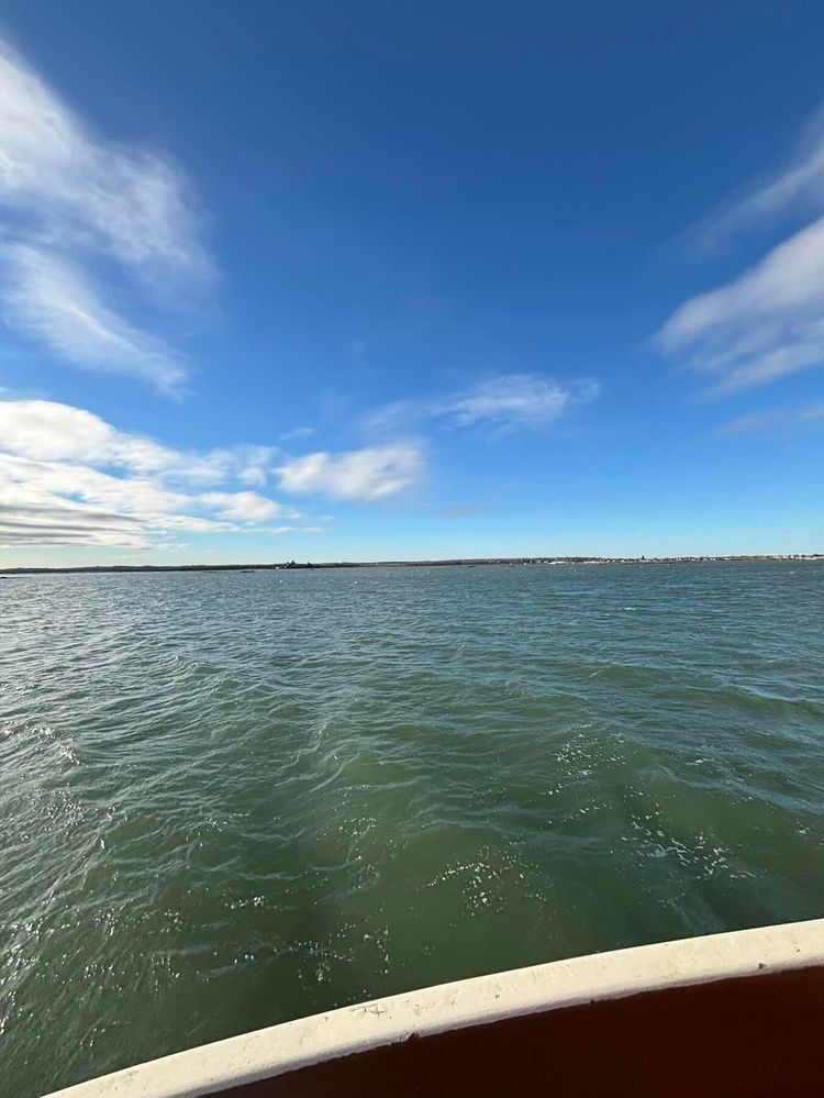 Voyage photo from Maldon to Northey Island 