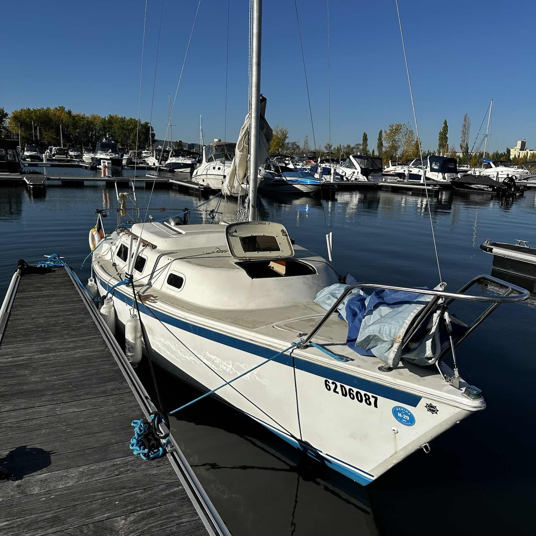 Sortie d’automne _4B94C28D-2664-49A8-B170-249C86EFC1FF