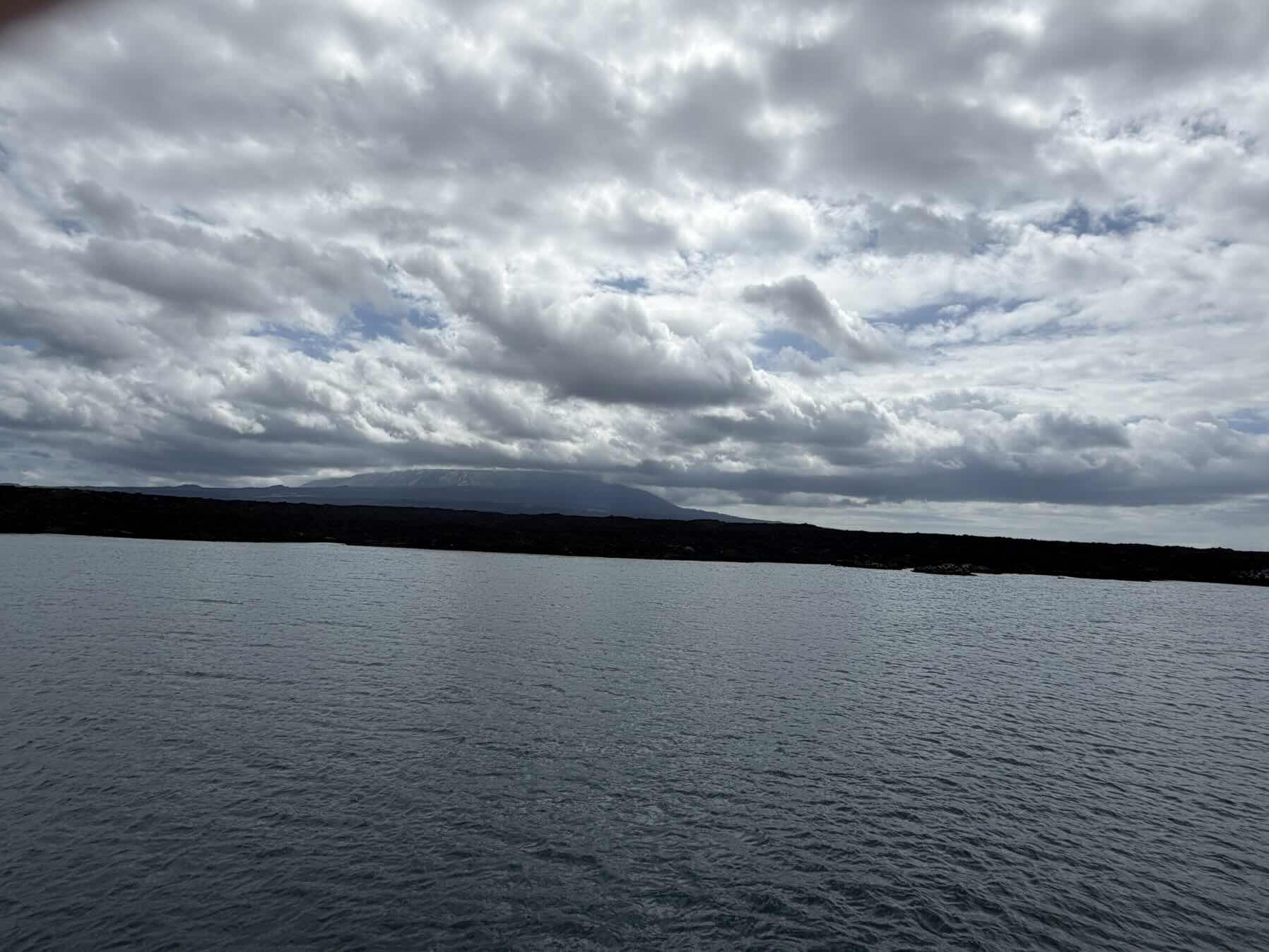 Urbina Bay, Isabela to Punta Mangle, Fernandina_108F98B4-C8E5-4758-A1D2-8BDED771E803