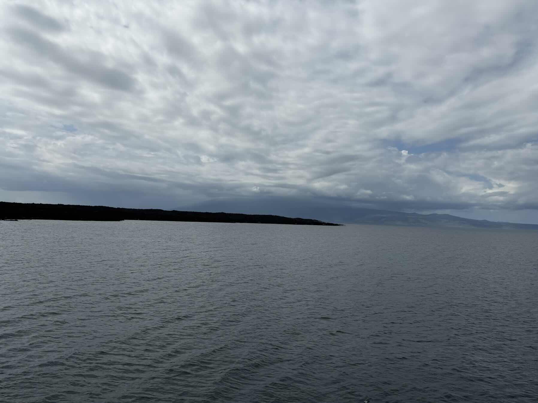 Urbina Bay, Isabela to Punta Mangle, Fernandina_6EF19F14-CA4C-49D1-820E-8B191C91C1CF