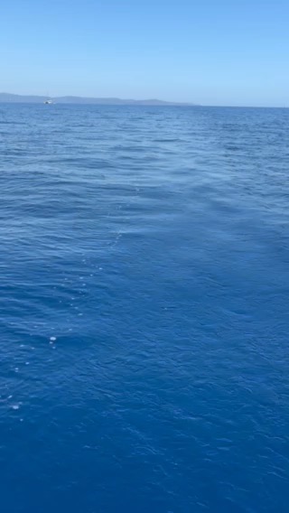 StTropez- Porquerolles_AEB96504-AD88-4B44-8E79-D3F3B36A17F4
