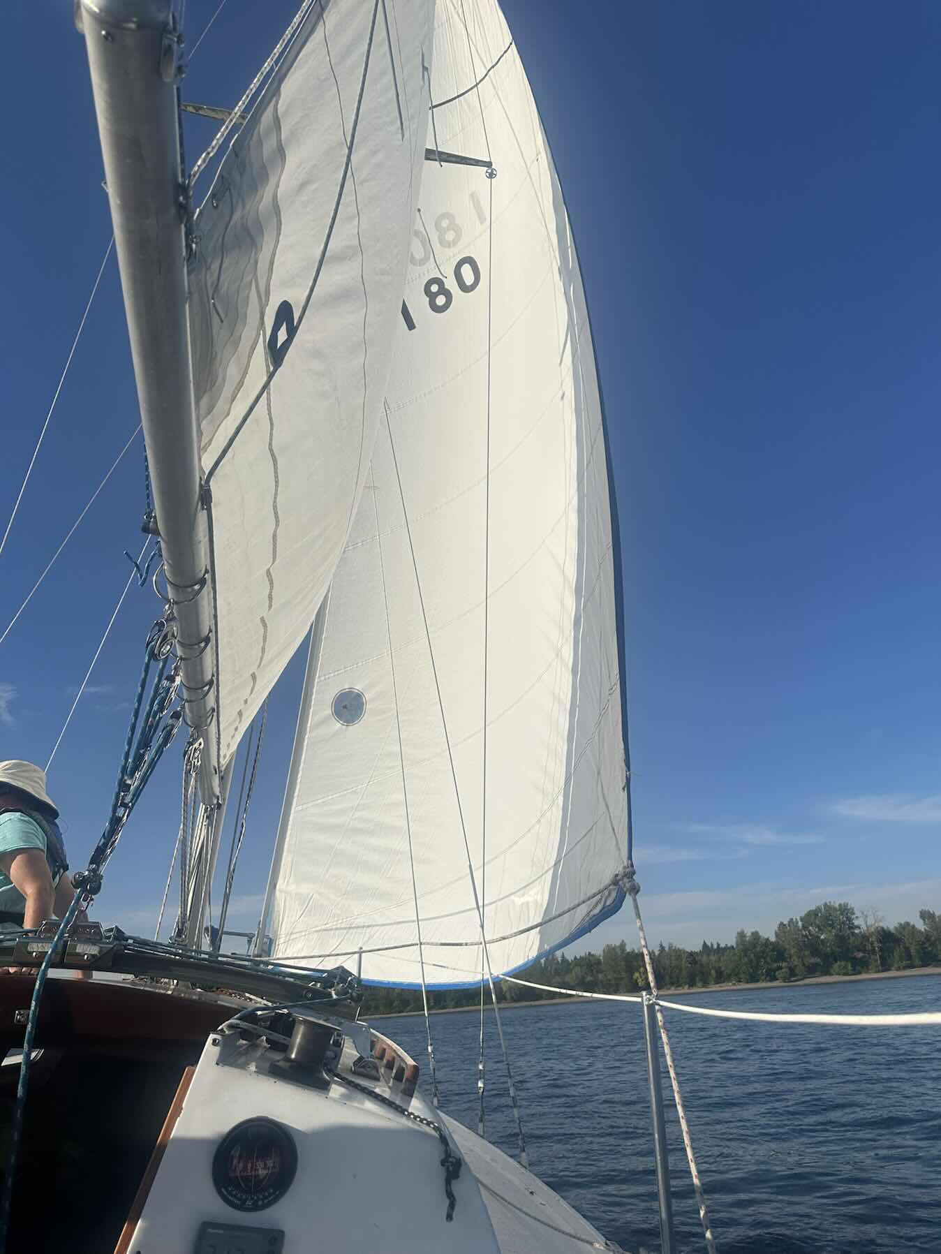 Friday Calypte Sail_A4FF9B23-2F02-419A-BB5F-6EAA8A7D41C6
