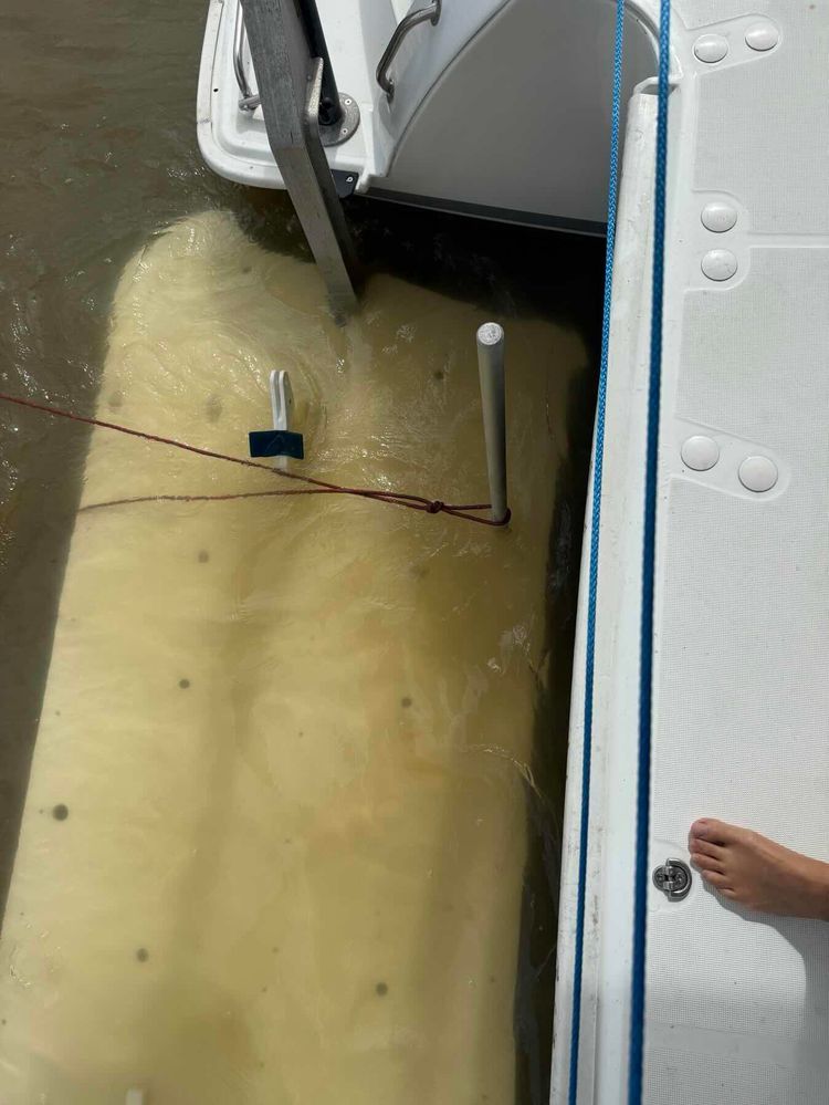 Voyage photo from Texas Bay to Livingston, Guatemala