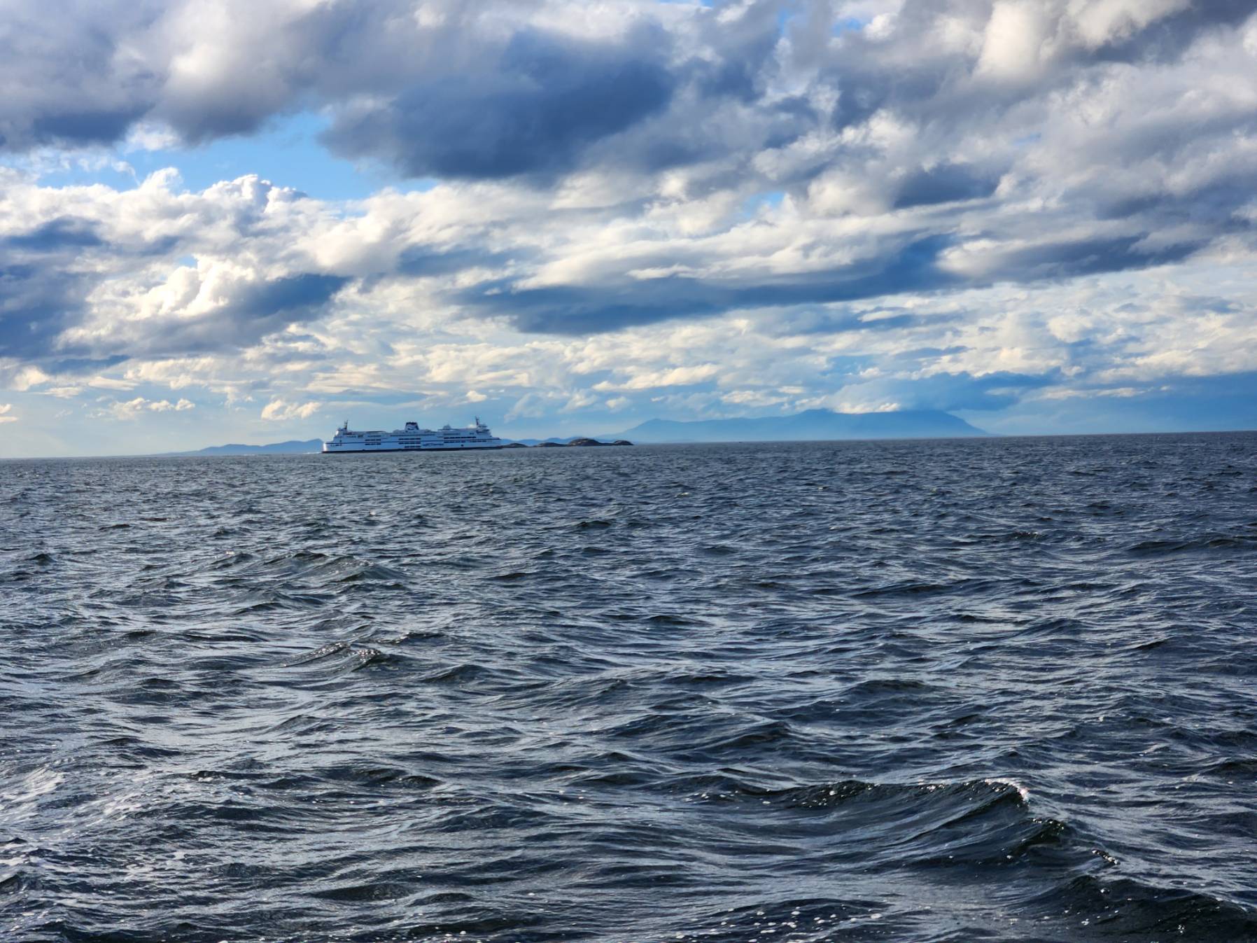 Thursday Night Sail_88F3C60E-4D0B-4314-96F7-CBA09954622A
