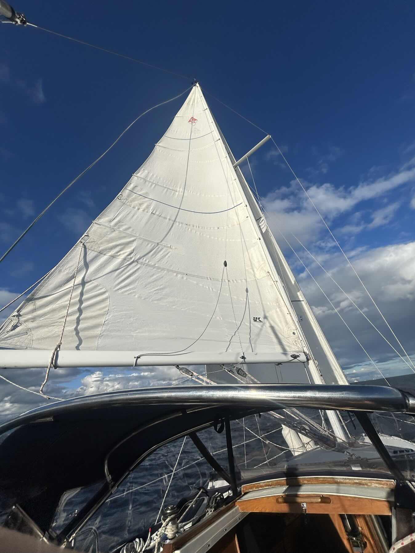 Thursday Night Sail_C9B9FFC8-8B85-4D90-93A5-1DA5F4518578