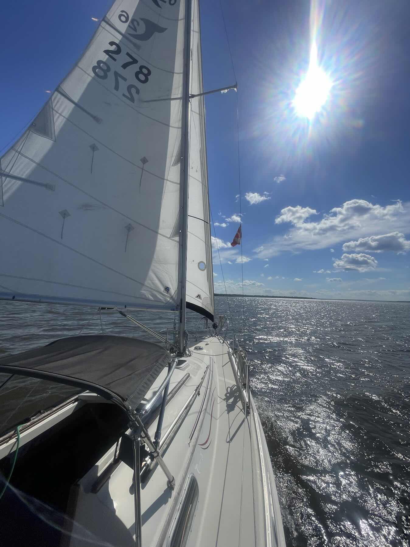 Afternoon sail with Elsa_835B674B-3650-4585-8D3B-38501385FA5B