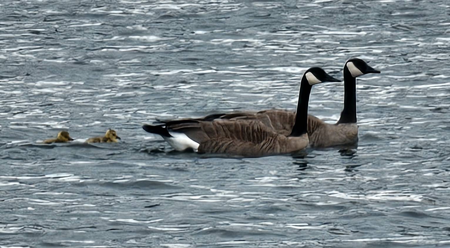 No wind… _CB5EA6C4-F65E-4521-A070-3A1ABF676C7D