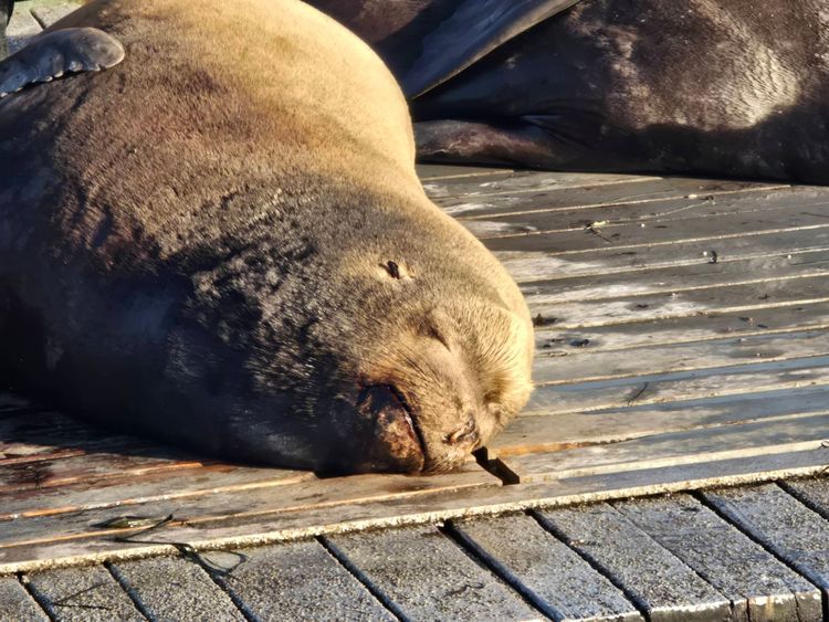 Voyage photo from sp5 with Bret on 663