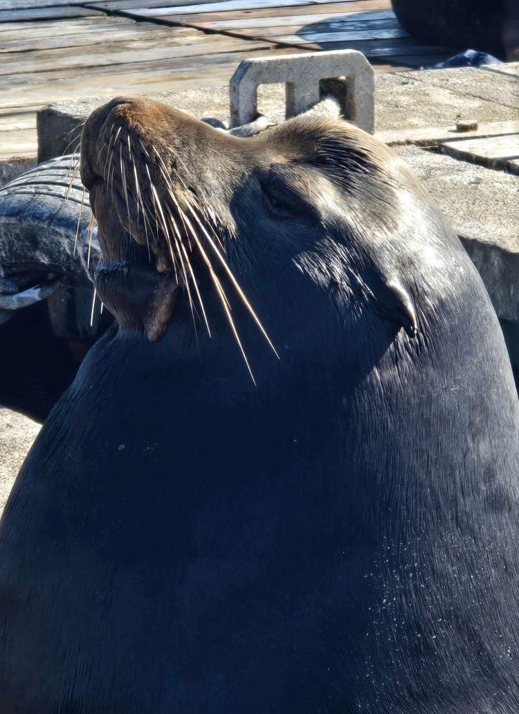 Voyage photo from sp5 with Bret on 663