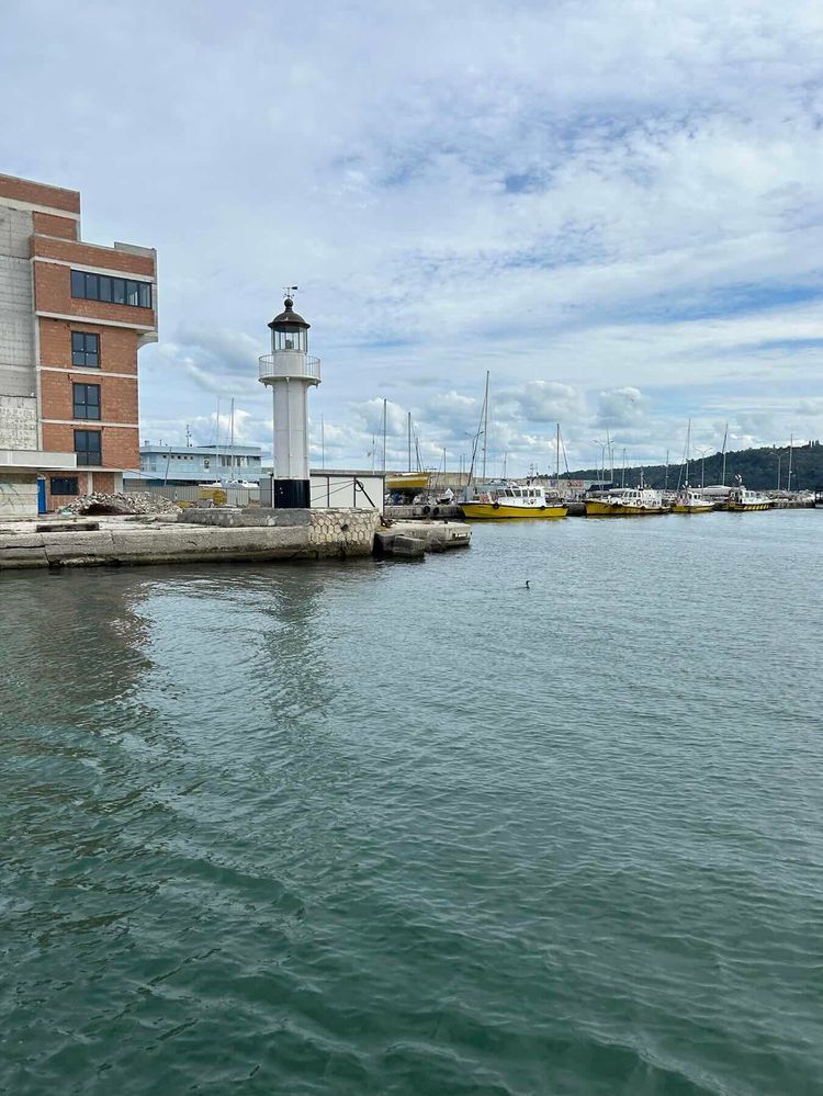 Voyage photo from Sail training session