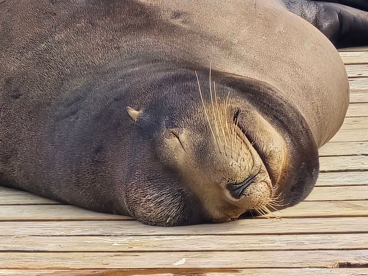 Voyage photo from emb with Amy on 663