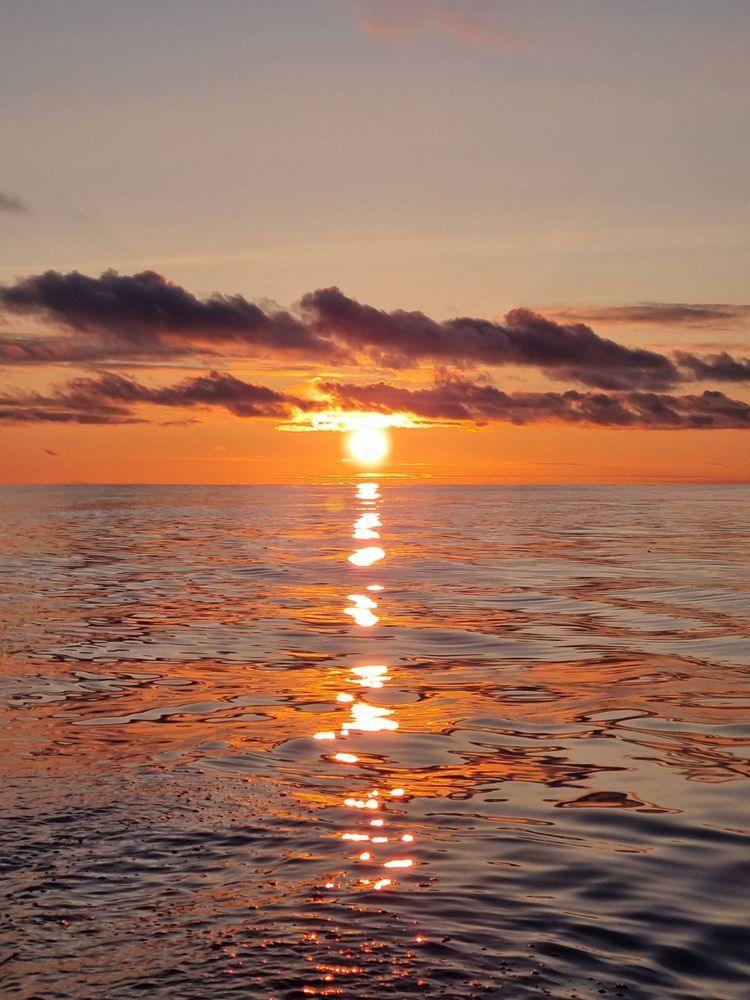 Voyage photo from 