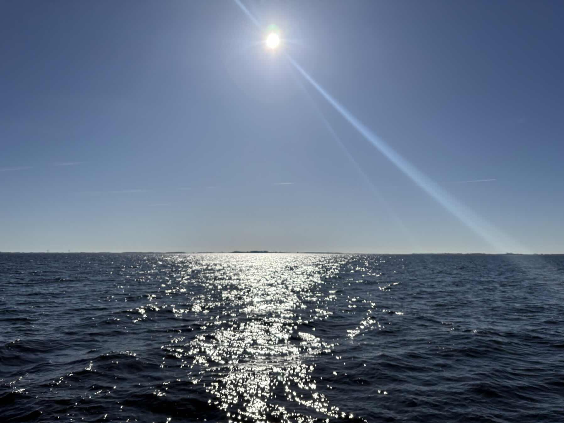 Sailing with dolphins_6848C34D-37C4-493C-8A93-C4F0C830281E