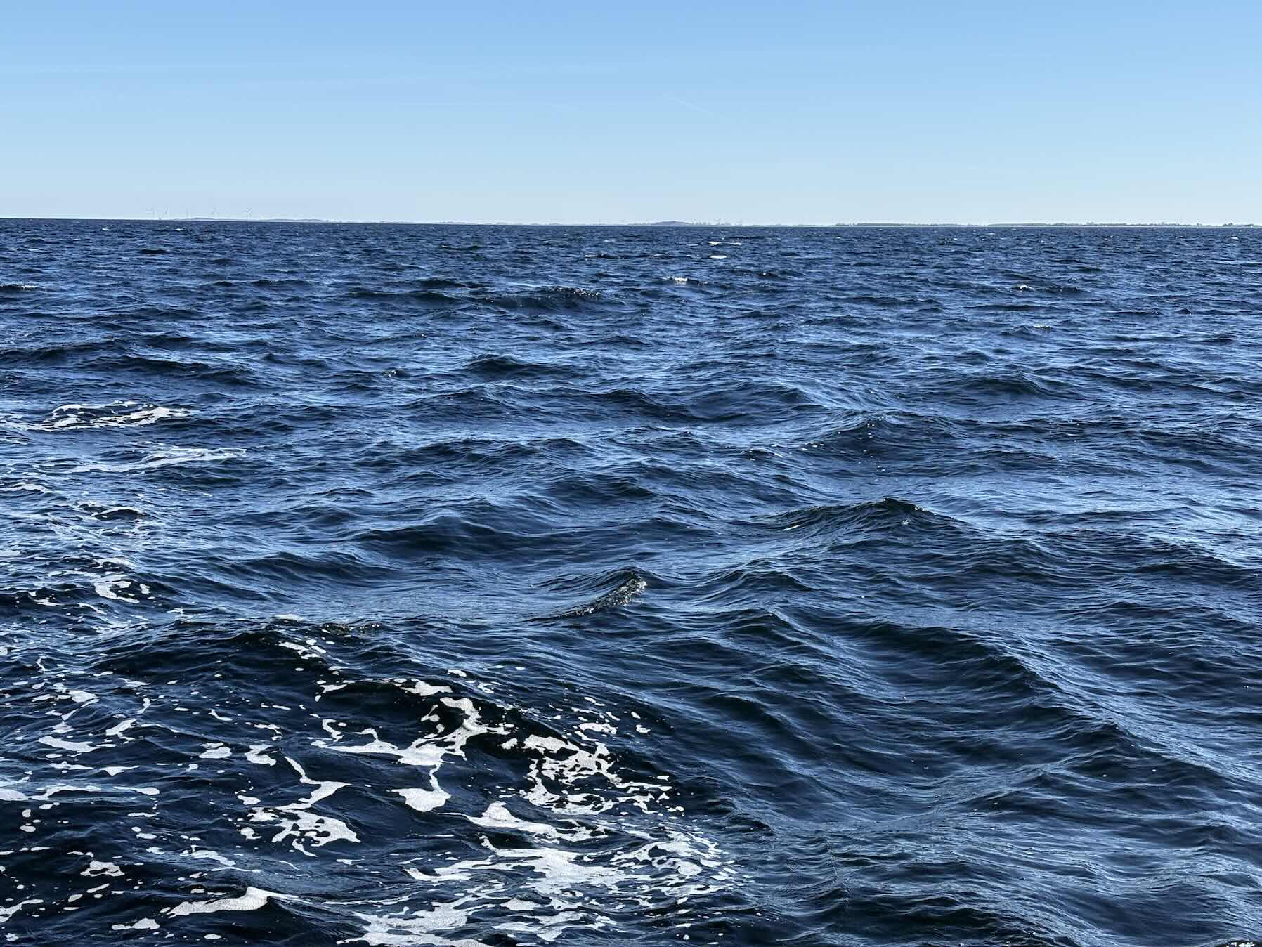 Sailing with dolphins_9076317F-DDB0-40C9-A0DE-59F8E40FC95A