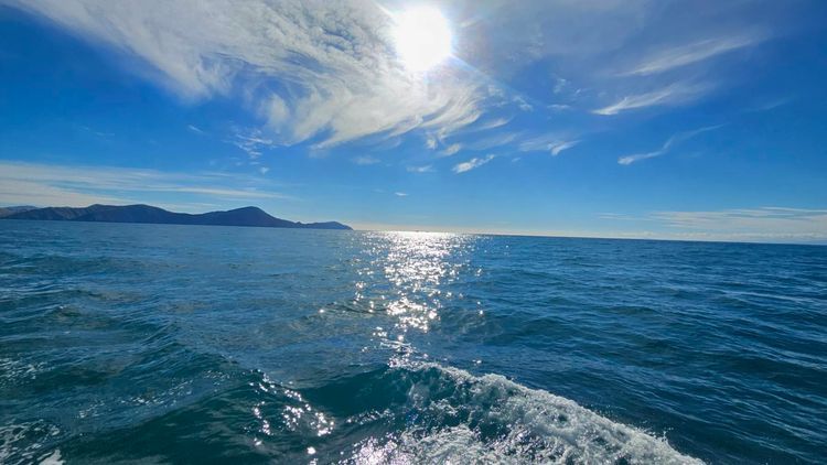 Voyage photo from Our first Cook Straight crossing!