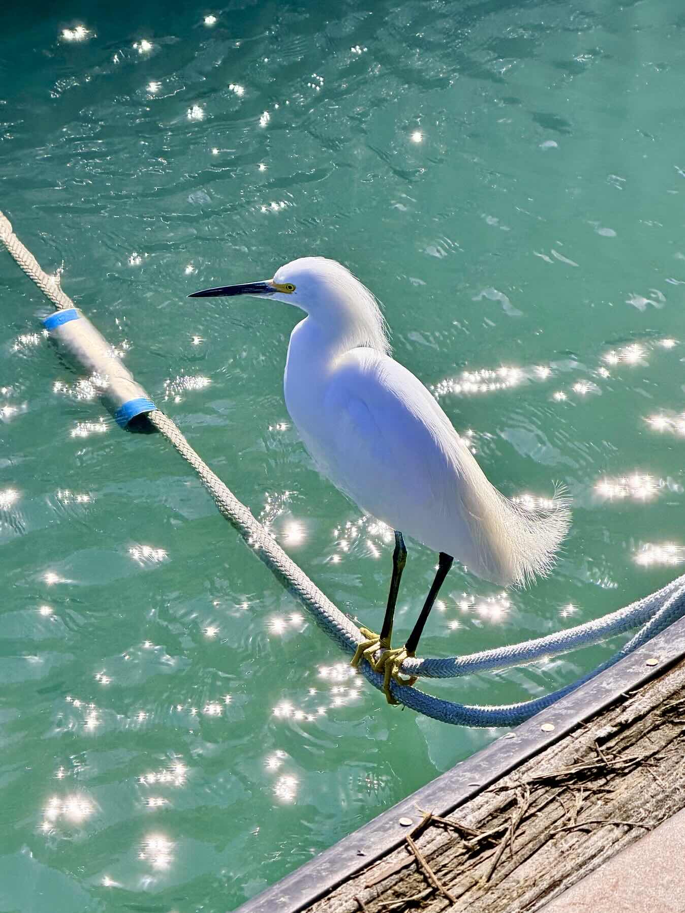 Clearwater FL- Key West FL_25B0011C-5825-440D-8A40-96B260E05FAE