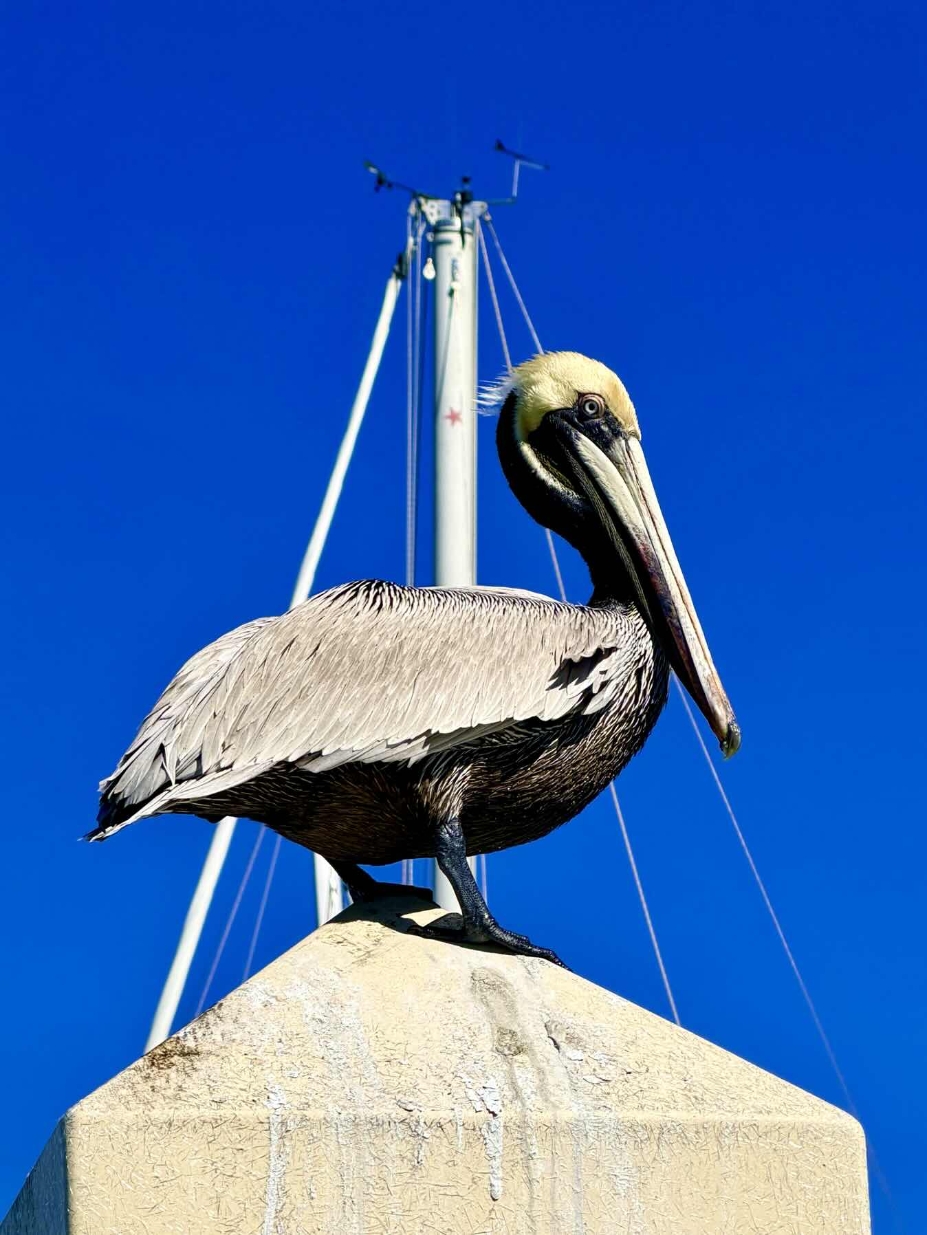 Clearwater FL- Key West FL_FEADC355-2970-4F2D-BCE4-BD414829D067
