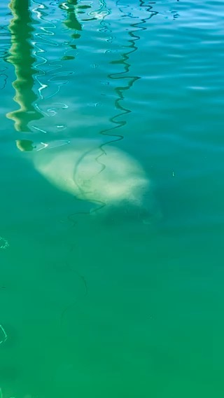 Clearwater FL- Key West FL_7D3F90C7-CAF2-4FA3-953D-1C8C3827D43A
