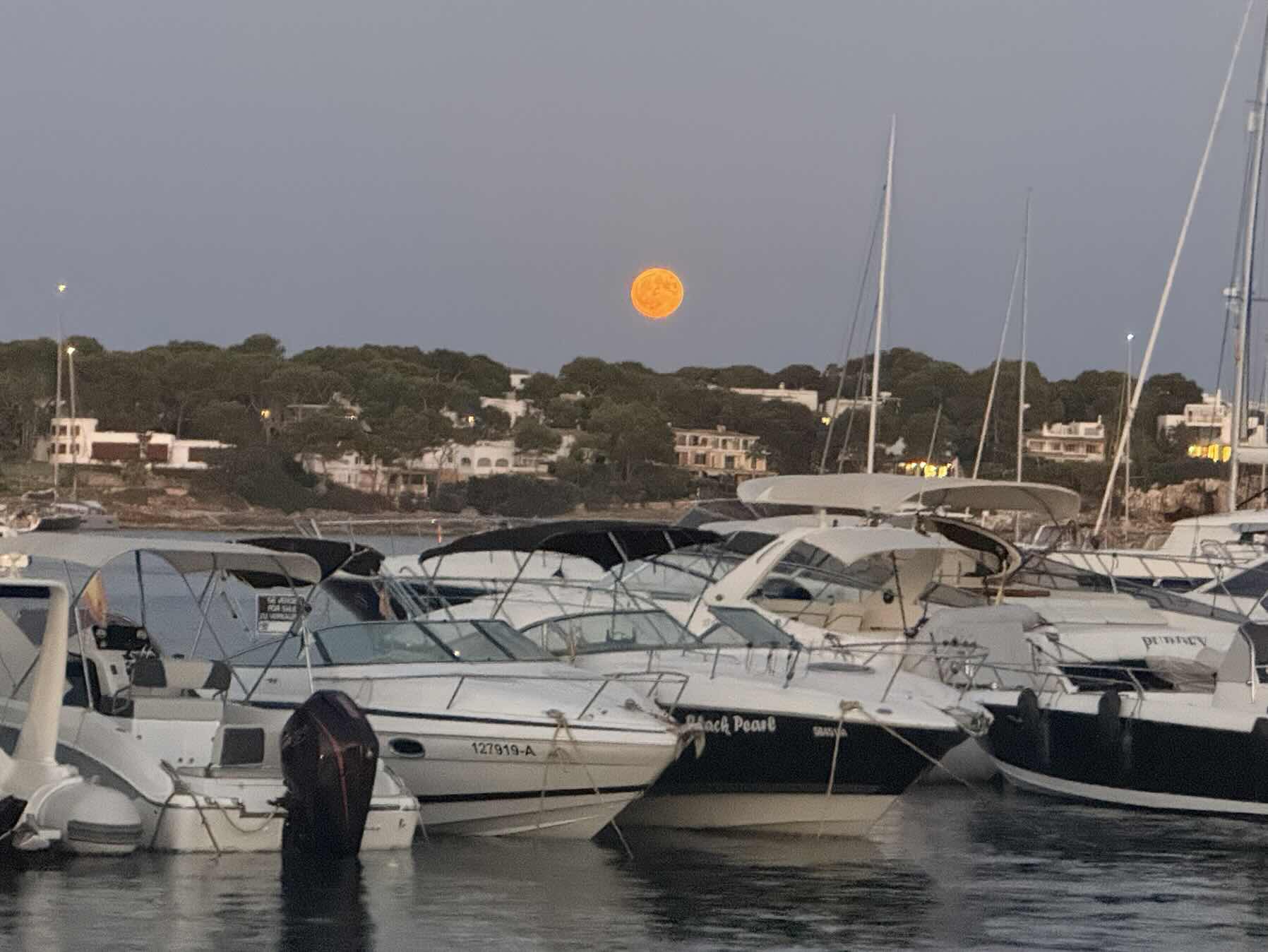 Charters Baleares S2P4 Cala d’Or - Portocolom (Sp)_F4130FF1-E617-4003-9351-4716C8123ED2