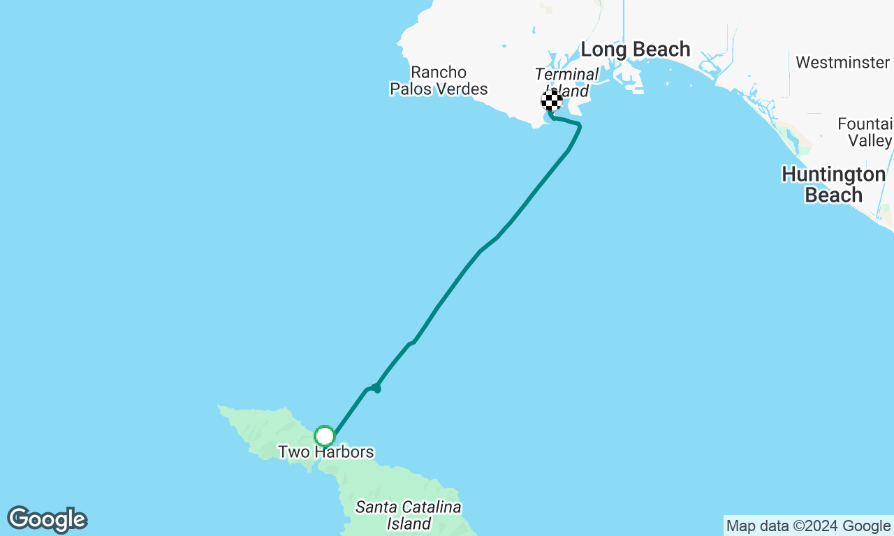 TH Whale Watch
