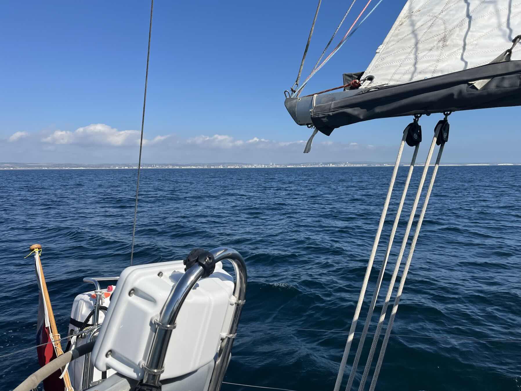Kittiwake with Peter_D710E812-A8C1-4178-BD9D-933A6EACE1BC