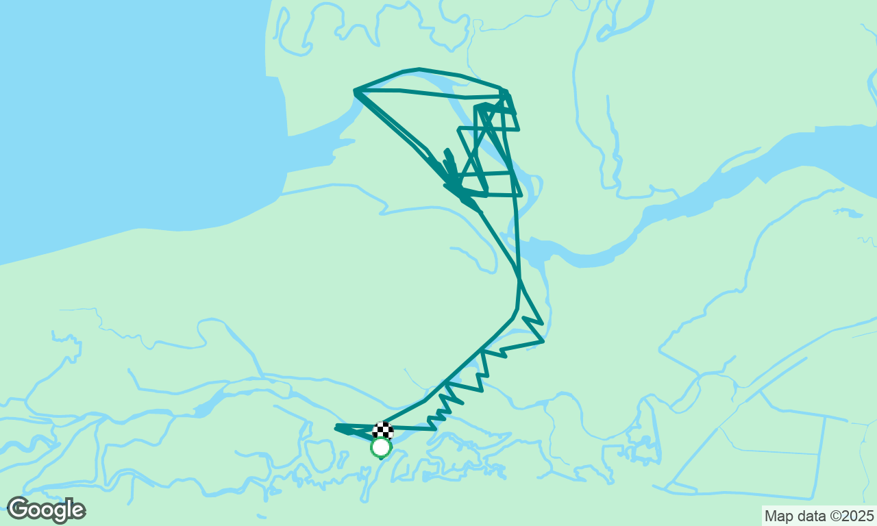 Race 4