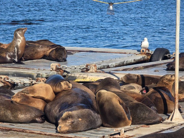 Voyage photo from emb with Bret on 664