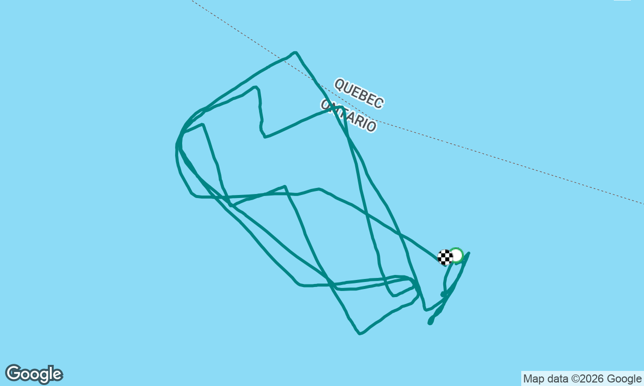 J24 one design race