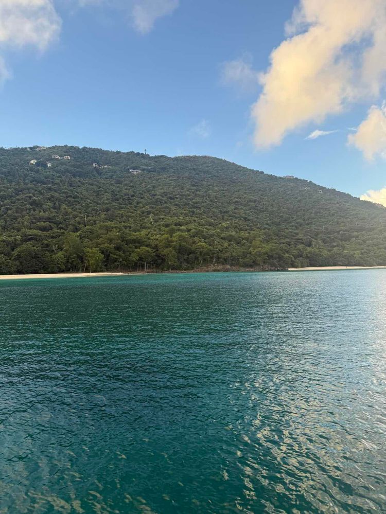 Voyage photo from Christmas Cruise 2025 - Magi Bay