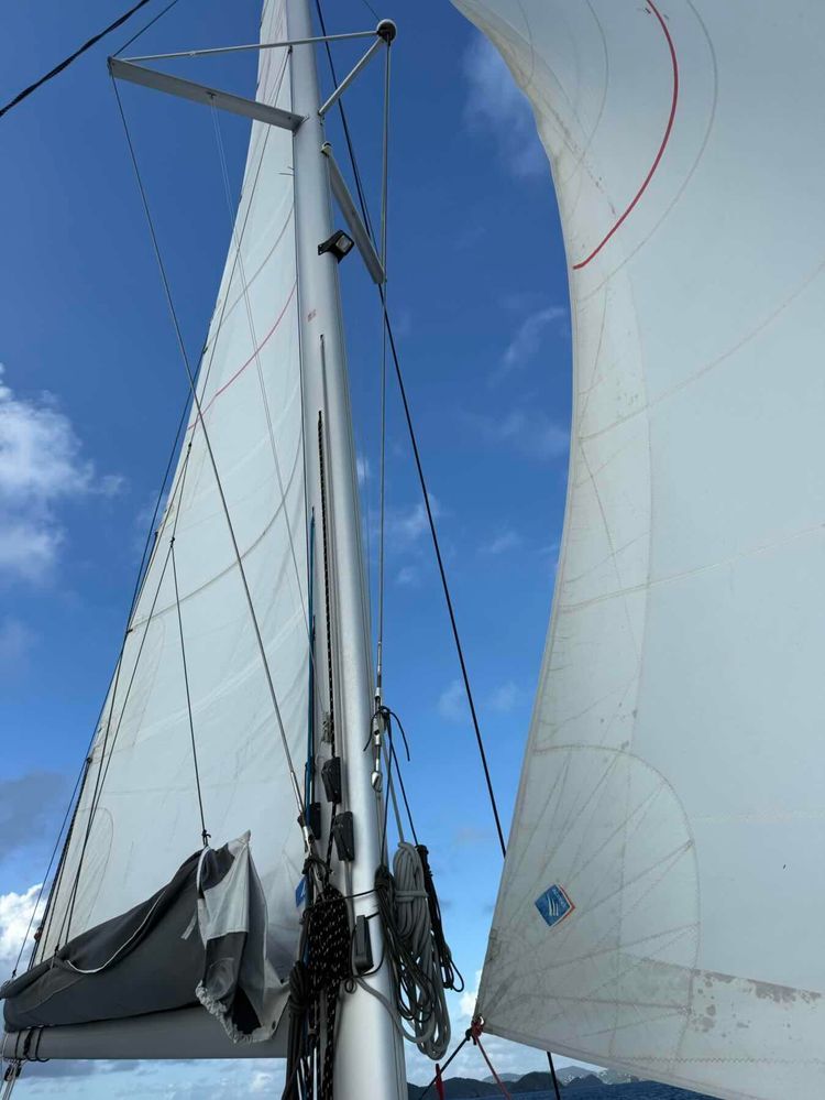 Voyage photo from Christmas Cruise 2025 - Magi Bay