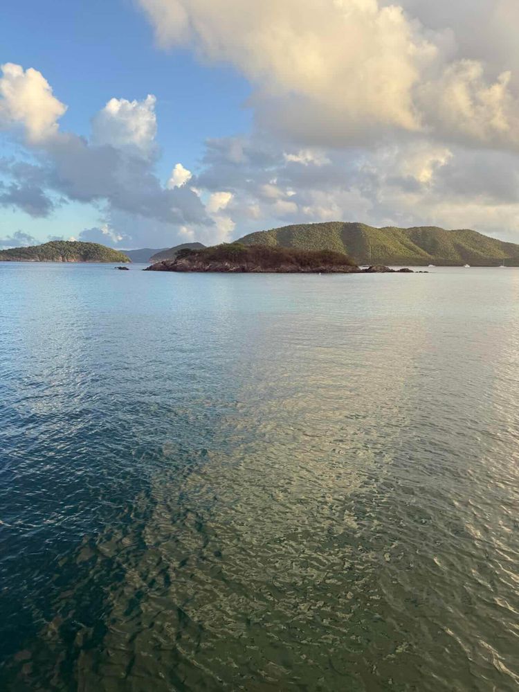 Voyage photo from Christmas Cruise 2025 - Magi Bay