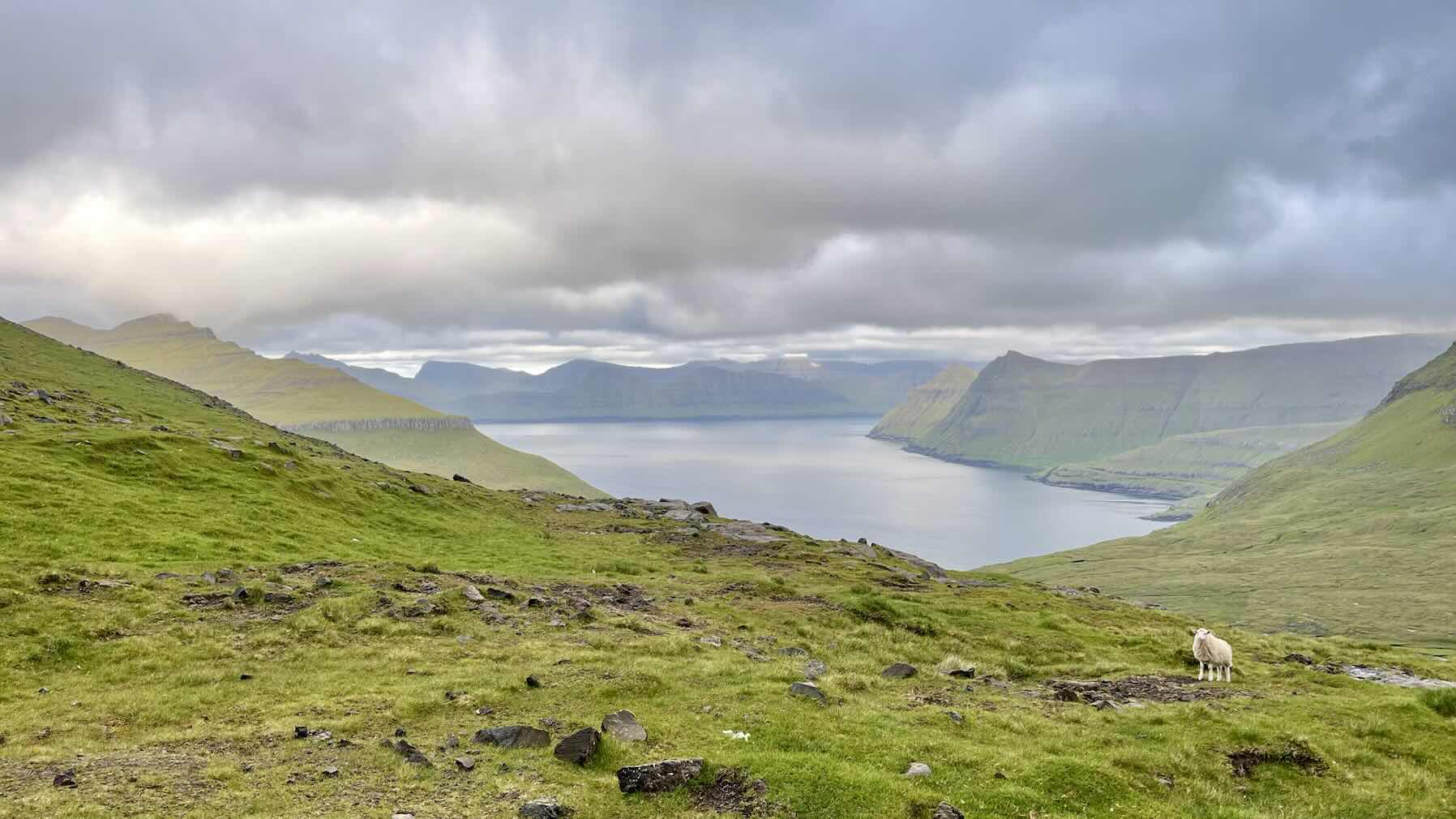 Faroes to Shetland_FC6531EA-D807-4605-8B44-B580F1DE9E8B