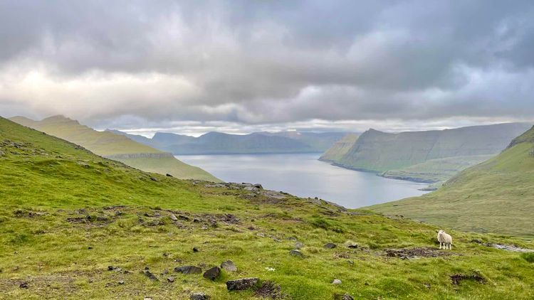 Voyage photo from Faroes to Shetland