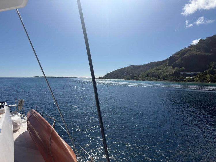 Voyage photo from Day 7 Tahiti Ta Ta