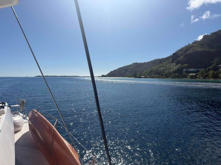 Voyage photo from Day 7 Tahiti Ta Ta