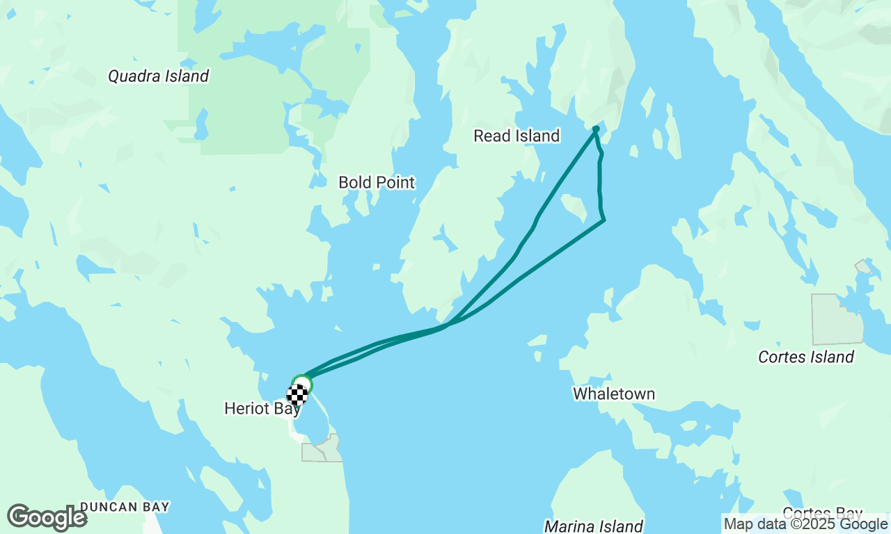 Quadra - Read Island return