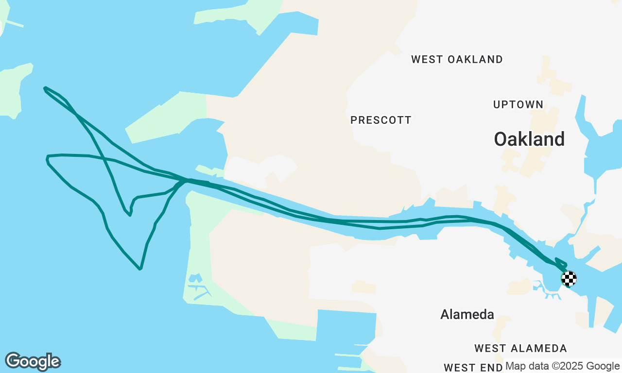 Bay Celebration Cruise