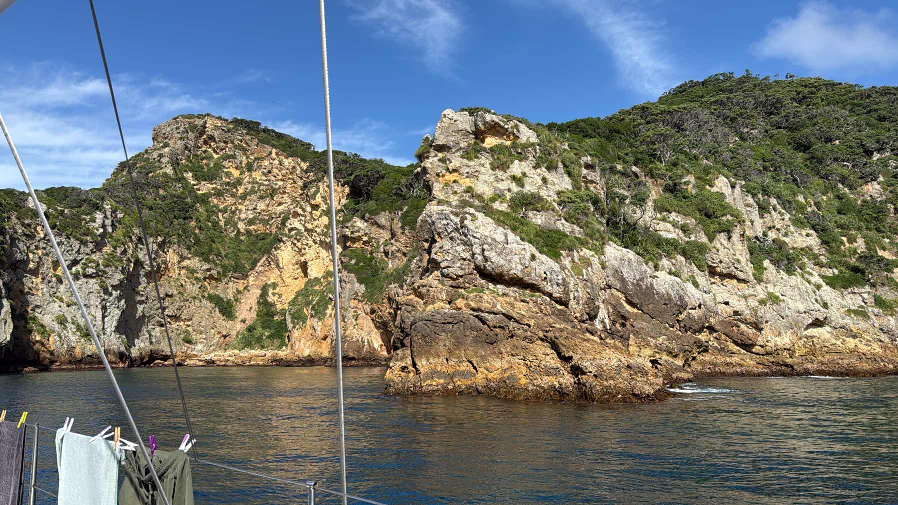 Great Barrier Island - Poor Knights _12DC12F1-50AC-4F26-84F7-2D81D4C0728F