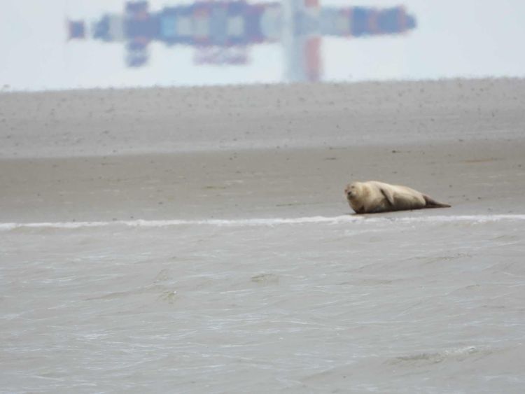 Voyage photo from …and the rest of the way into deepest, darkest Essex - Brightlingsea.