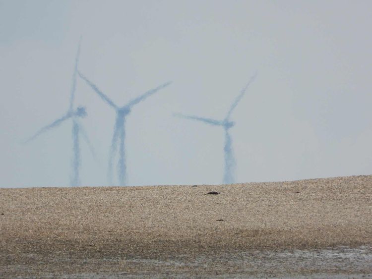 Voyage photo from …and the rest of the way into deepest, darkest Essex - Brightlingsea.
