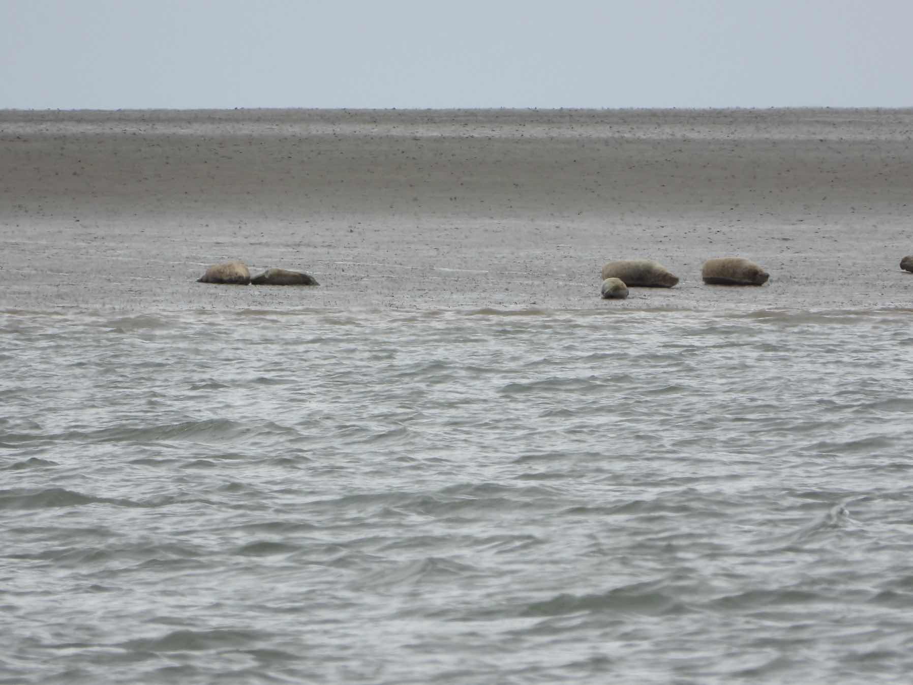 …and the rest of the way into deepest, darkest Essex - Brightlingsea._D302C2C5-28D0-48A5-86A7-24B8A78D742C