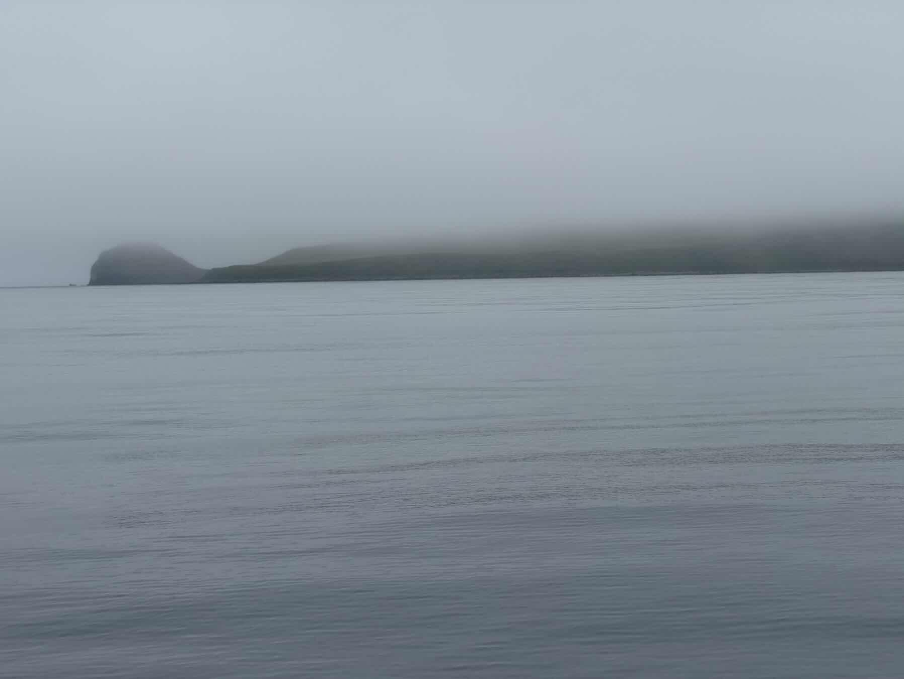 Udamak cove - Dutch Harbor _E571BE2F-78EB-4B58-9CC6-CDF27E132595
